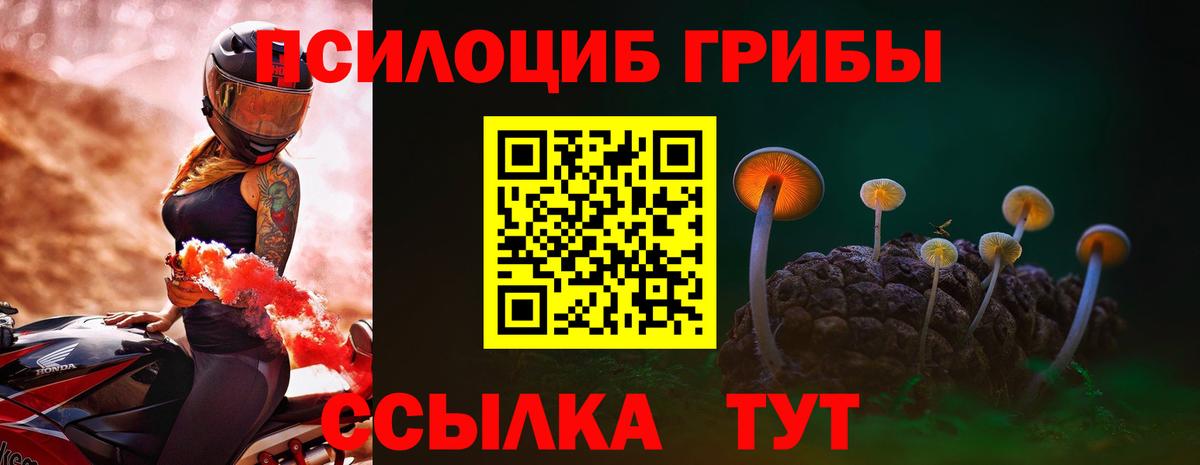 Галлюциногенные грибы GOLDEN TEACHER Гатчина